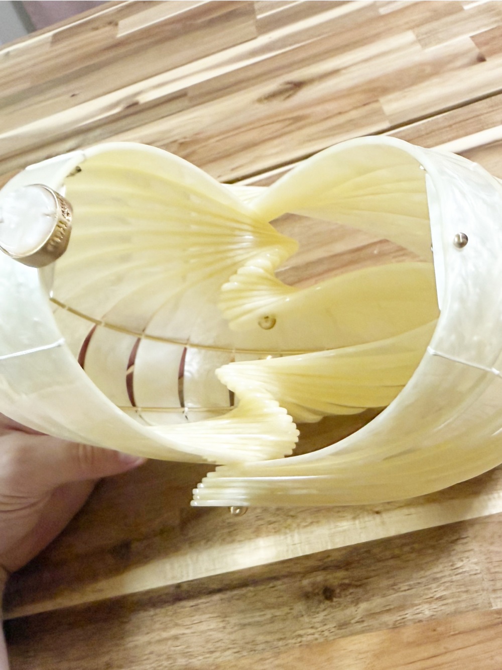 Cult Gaia Sirena Shell Acrylic Rounded Seashell Clutch in Ivory $398 MSRP - Picture 10 of 13